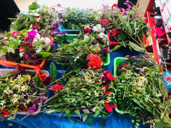 Hoạt động trãi nghiệm ngày chào mừng ngày 20/11 lớp lớn c