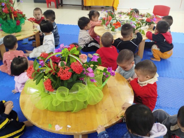 ảnh nền kh tuần rau củ quả