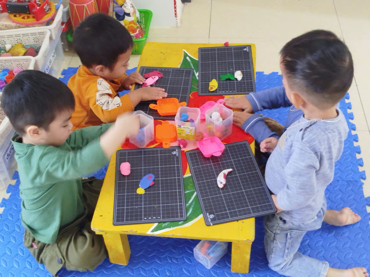 động vật